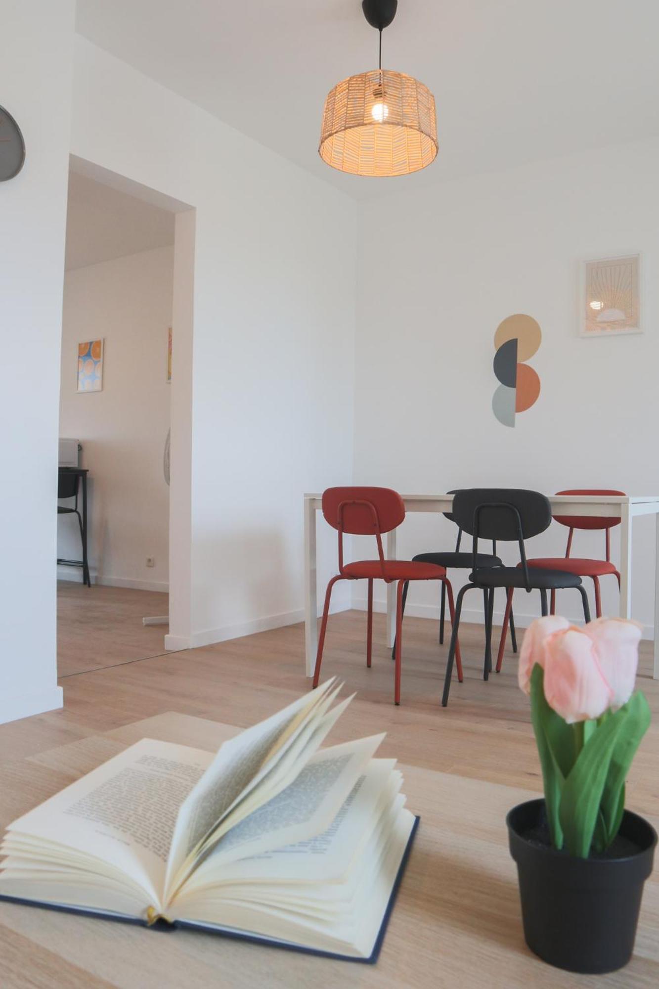 Le Sunny, Centre Apartment Mulhouse